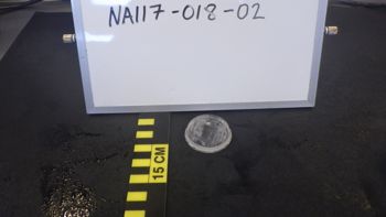 Media type: image;   Invertebrate Zoology 153116 Description: live specimen;